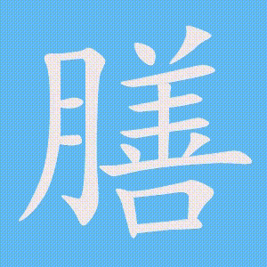 膳的笔顺动画演示