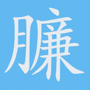 臁的笔顺动画演示
