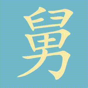 舅的笔顺动画演示