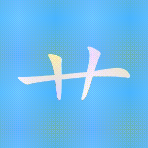 艹的笔顺动画演示