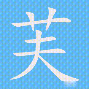 芙的笔顺动画演示