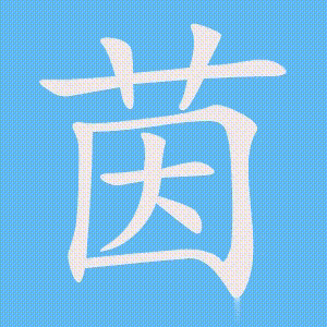 茵的笔顺动画演示