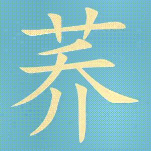 荞的笔顺动画演示