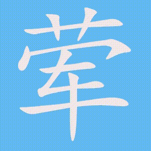 荤的笔顺动画演示