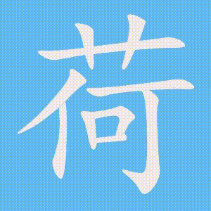 荷的笔顺动画演示