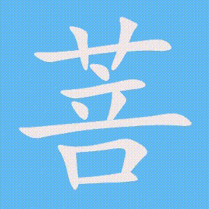 菩的笔顺动画演示