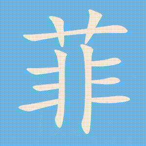 菲的笔顺动画演示