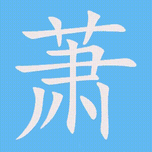 萧的笔顺动画演示
