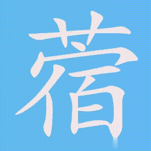 蓿的笔顺动画演示