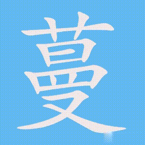 蔓的笔顺动画演示