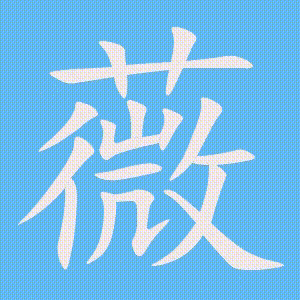 薇的笔顺动画演示