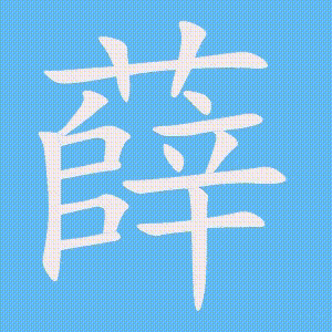 薛的笔顺动画演示
