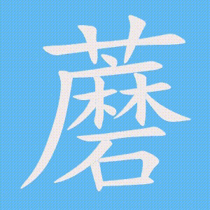蘑的笔顺动画演示