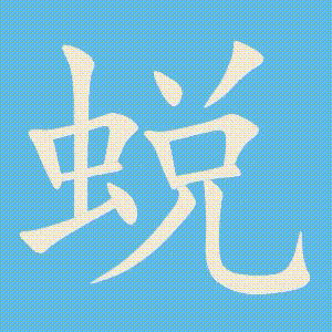 蜕的笔顺动画演示