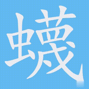 蠛的笔顺动画演示