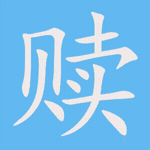 赎的笔顺动画演示