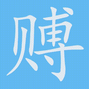 赙的笔顺动画演示