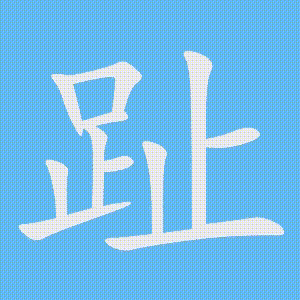 趾的笔顺动画演示