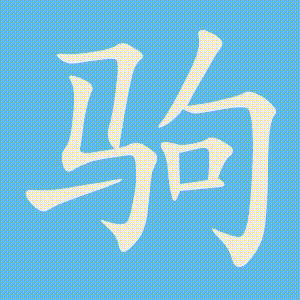 驹的笔顺动画演示