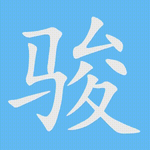 骏的笔顺动画演示