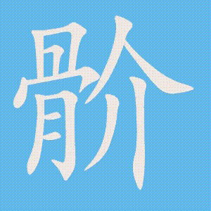 骱的笔顺动画演示