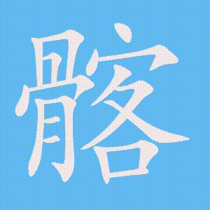 髂的笔顺动画演示
