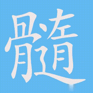 髓的笔顺动画演示