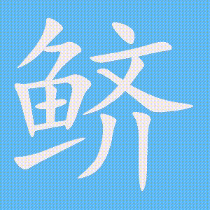 鲚的笔顺动画演示