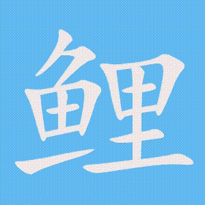 鲤的笔顺动画演示