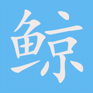 鲸的笔顺动画演示