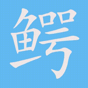鳄的笔顺动画演示