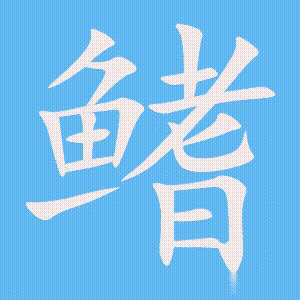 鳍的笔顺动画演示