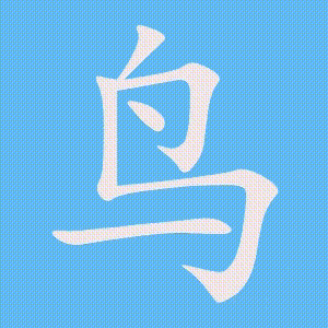 鸟的笔顺动画演示