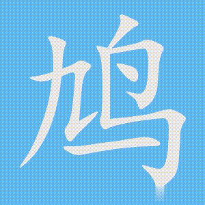 鸠的笔顺动画演示