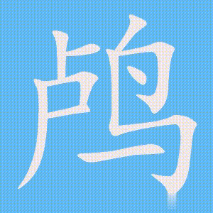 鸬的笔顺动画演示