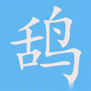 鸹的笔顺动画演示