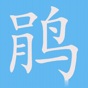 鹃的笔顺动画演示