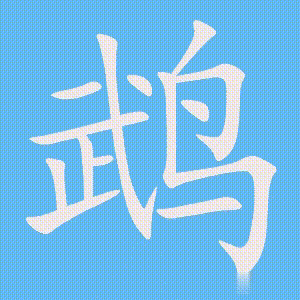 鹉的笔顺动画演示
