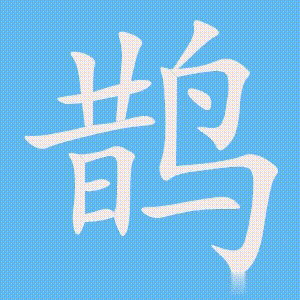 鹊的笔顺动画演示