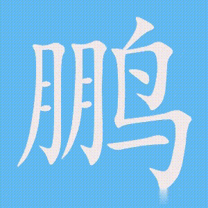 鹏的笔顺动画演示