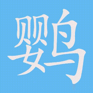 鹦的笔顺动画演示