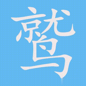 鹫的笔顺动画演示