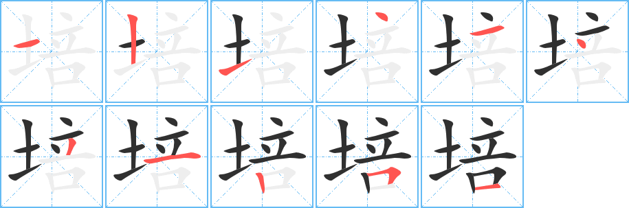 培的笔顺分步演示