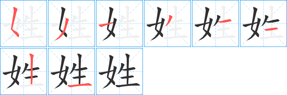 姓的笔顺分步演示