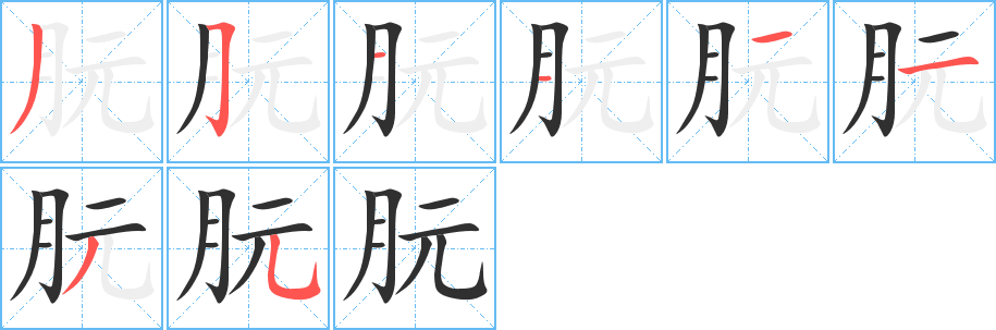 朊的笔顺分步演示