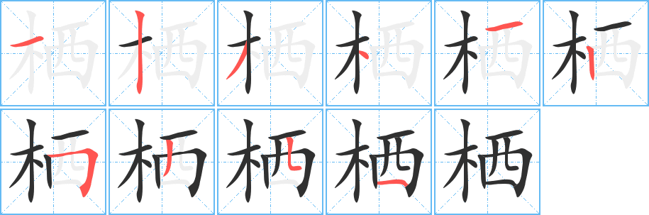 栖的笔顺分步演示