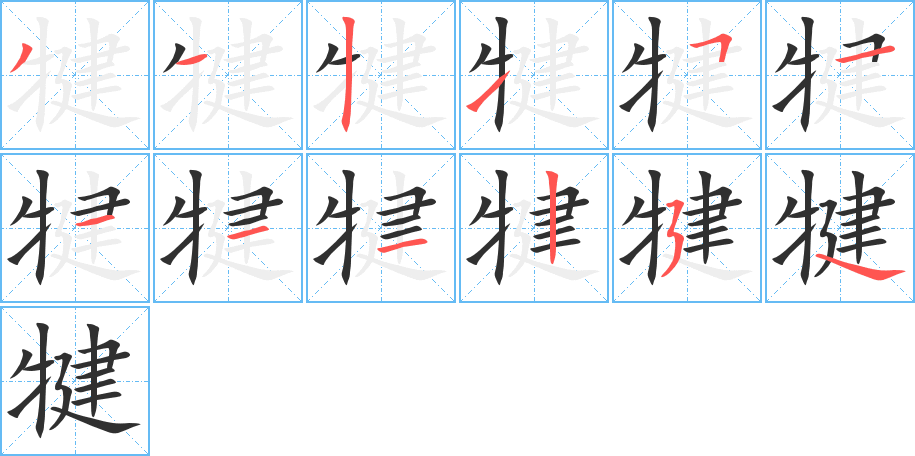 犍的笔顺分步演示