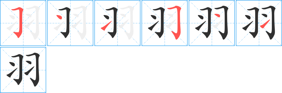 羽的笔顺分步演示