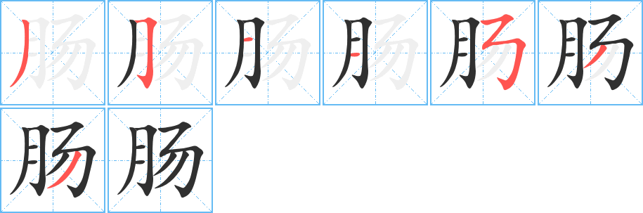 肠的笔顺分步演示