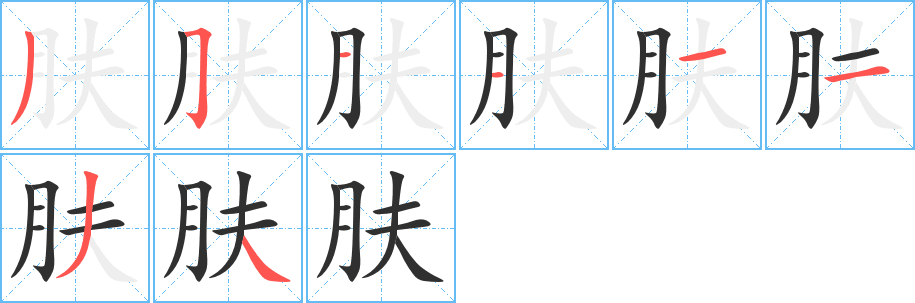 肤的笔顺分步演示